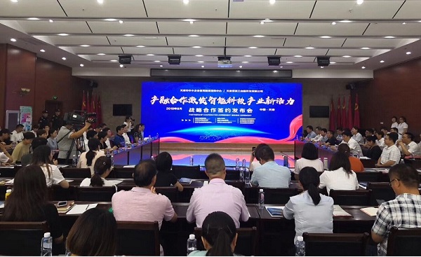 星际手机网-星际中国科技喜获千万级担保授信
